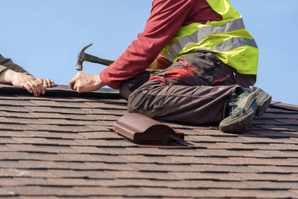 Best Roof Gutter Cleaning  in Hertford, NC