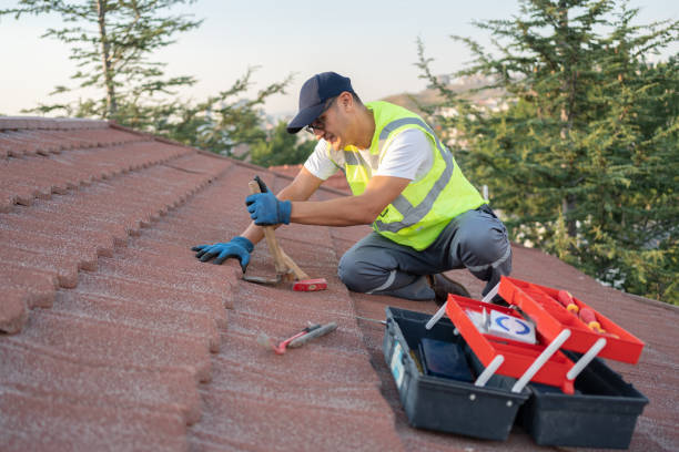 Best Roof Leak Repair  in Hertford, NC