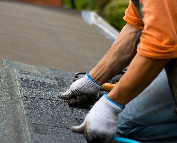 Best Roof Leak Repair  in Hertford, NC