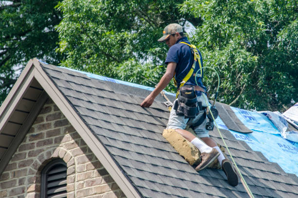 Best Sealant for Roof  in Hertford, NC